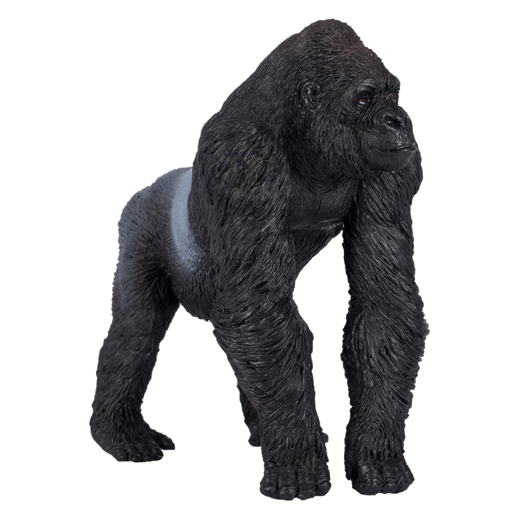 Gorilla Male Silverback