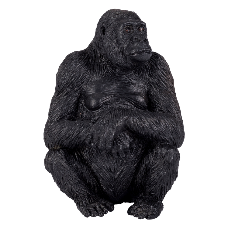 Gorilla Female