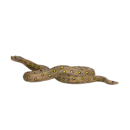 Anaconda