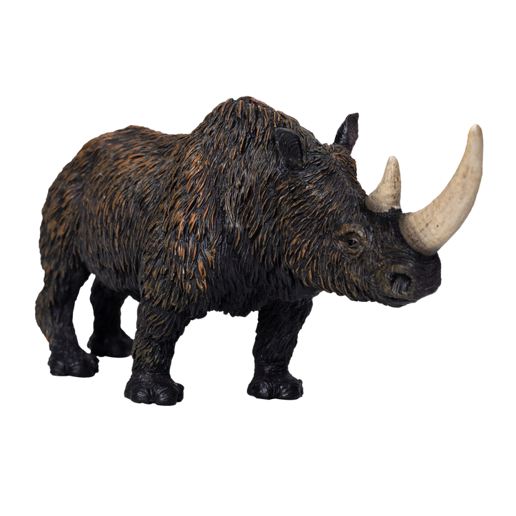 Woolly Rhino