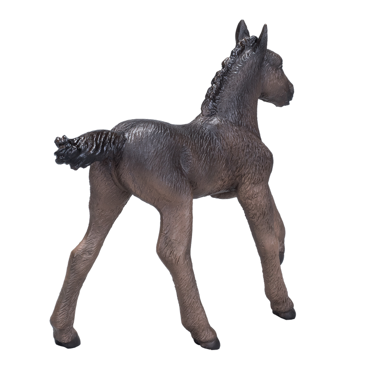 Arabian Foal Black