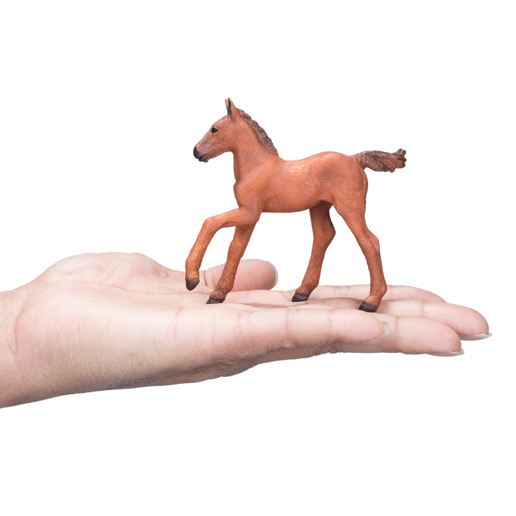 Arabian Foal Chestnut