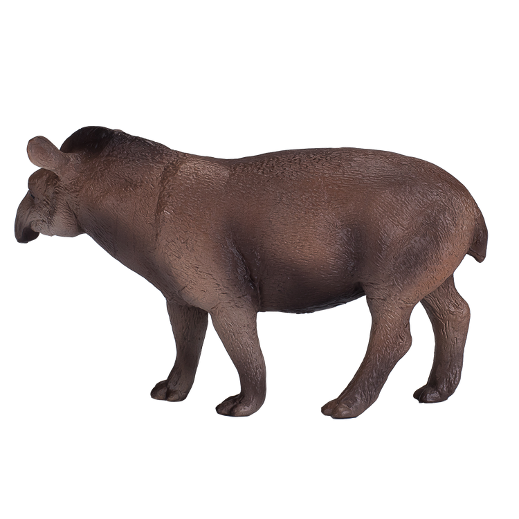 Brazilian Tapir