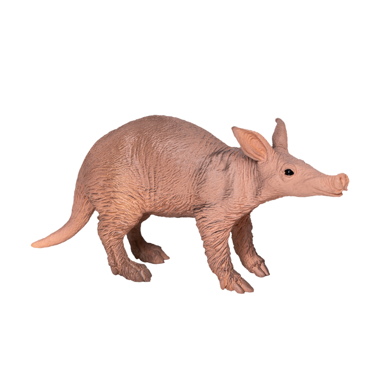 Aardvark