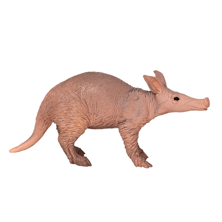Aardvark