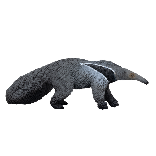 Giant Anteater
