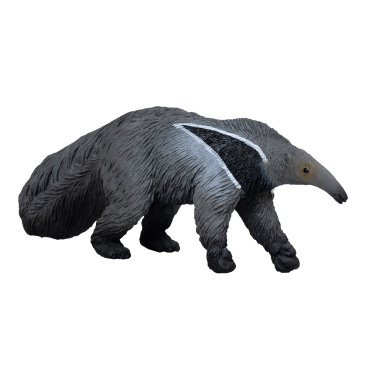 Giant Anteater
