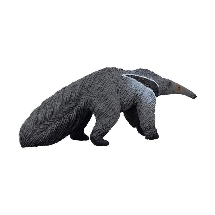 Giant Anteater