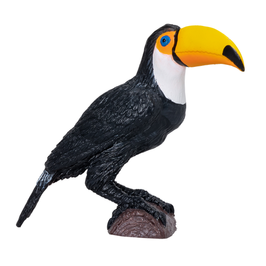 Toucan