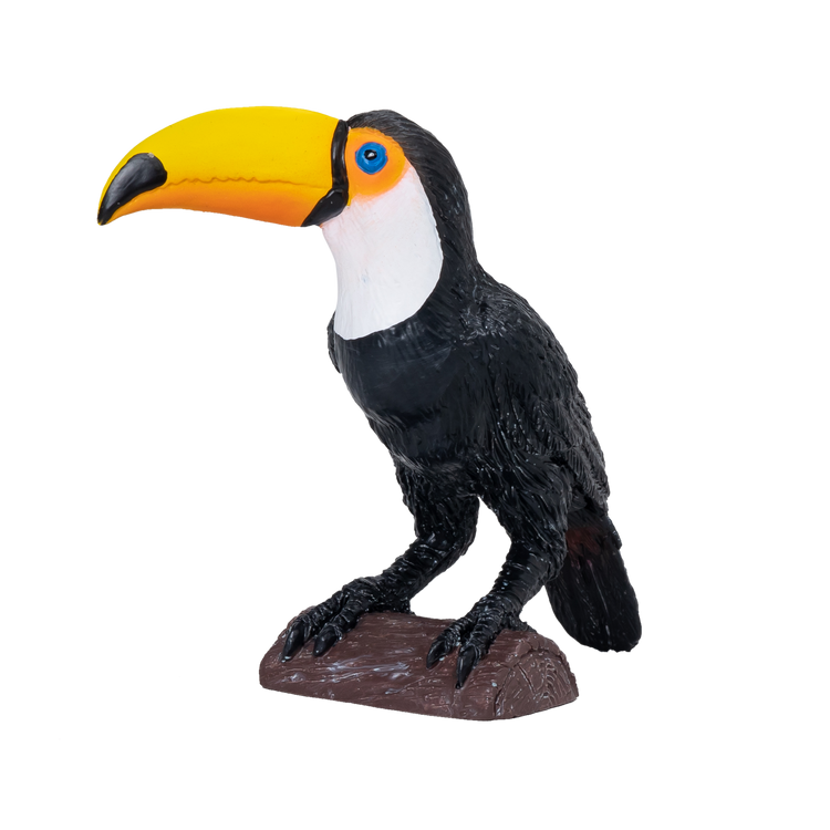Toucan