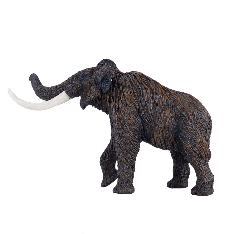 Woolly Mammoth