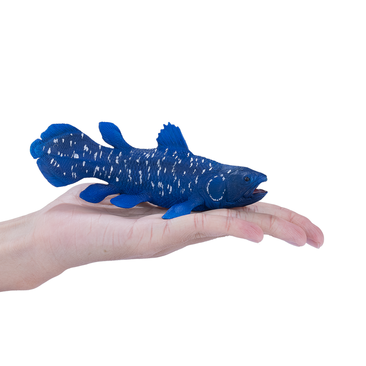 Coelacanth