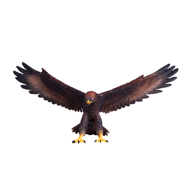 Golden Eagle