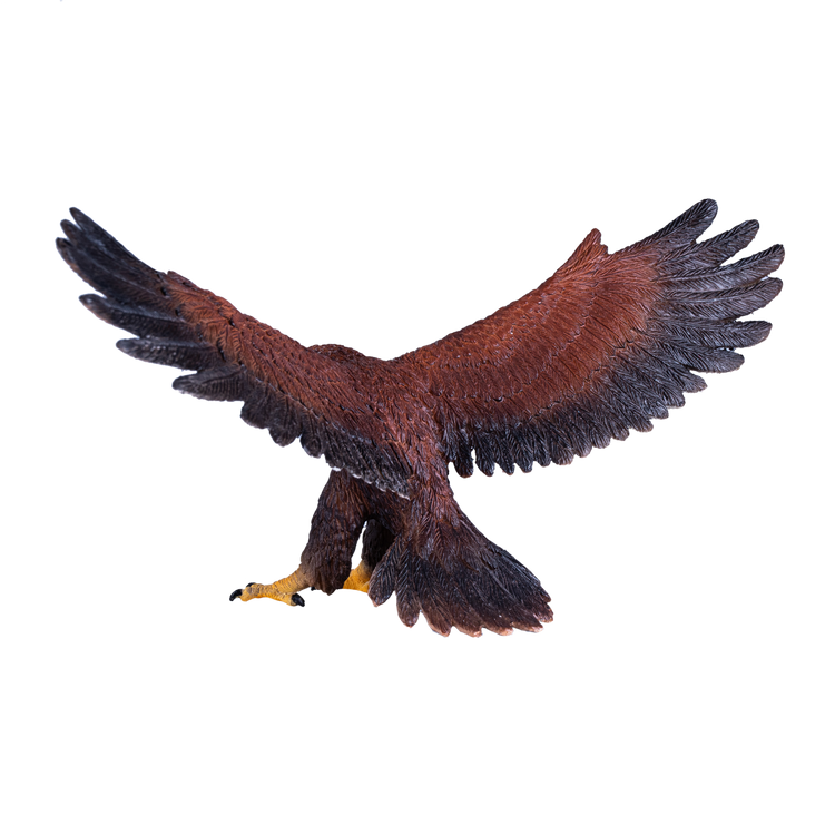 Golden Eagle