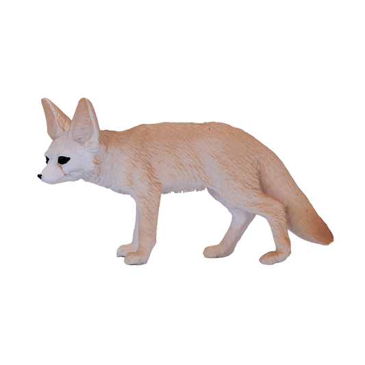 Fennec Fox