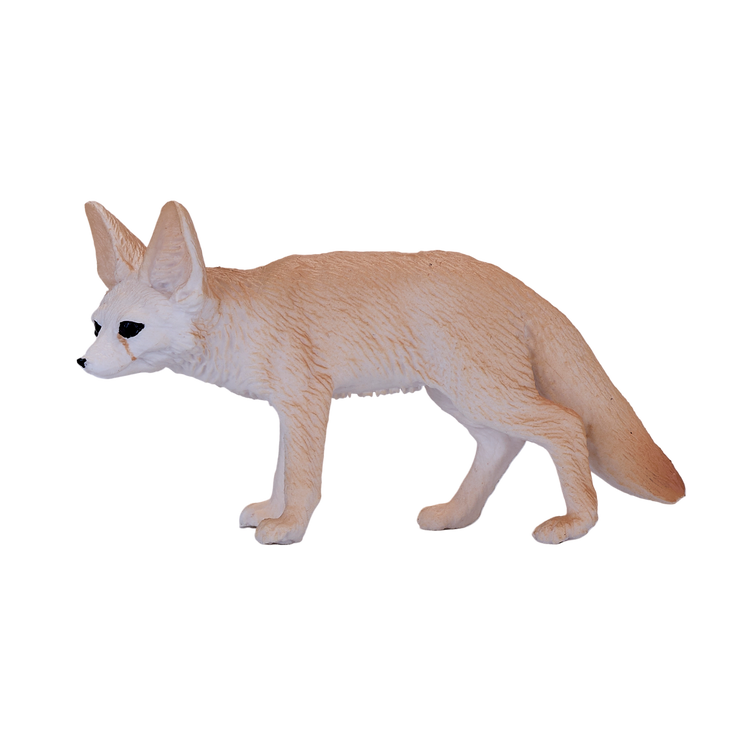 Fennec Fox