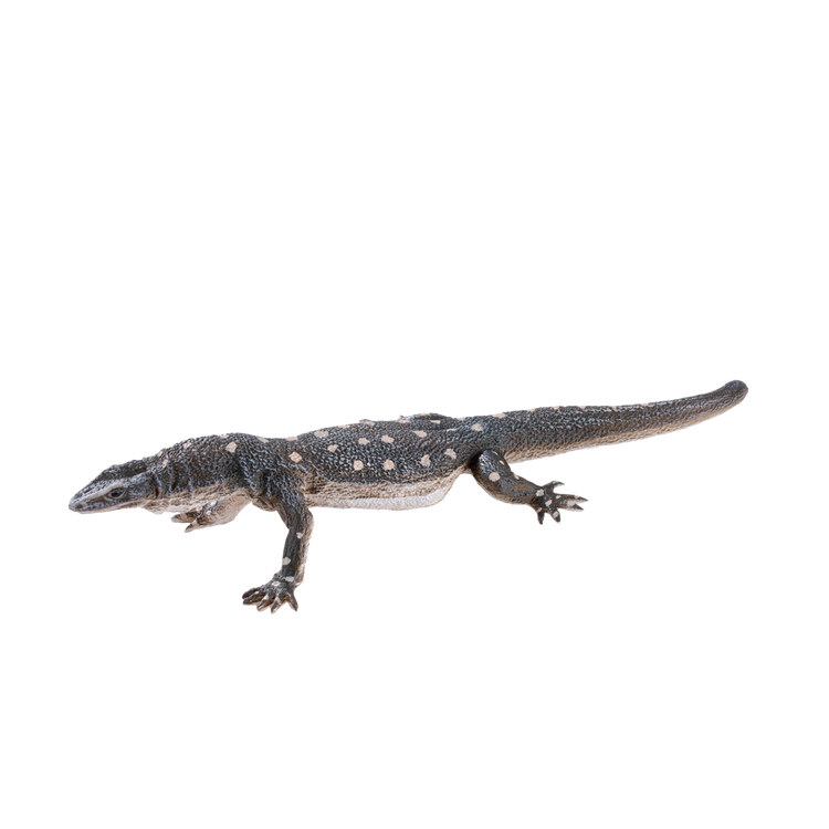 Perentile Lizard