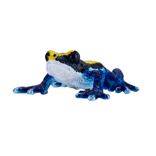 Poison Dart Frog Blue