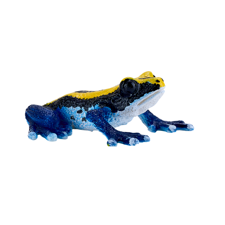 Poison Dart Frog Blue
