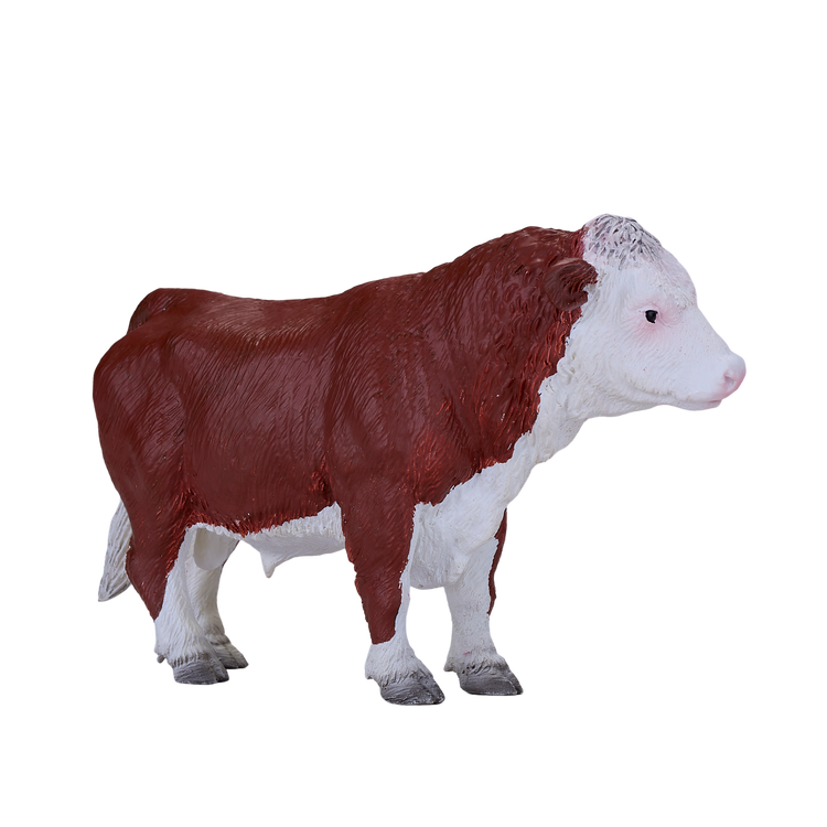 Hereford Bull