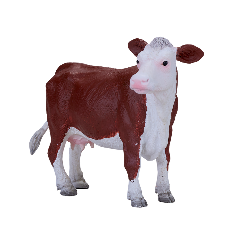 Hereford Cow