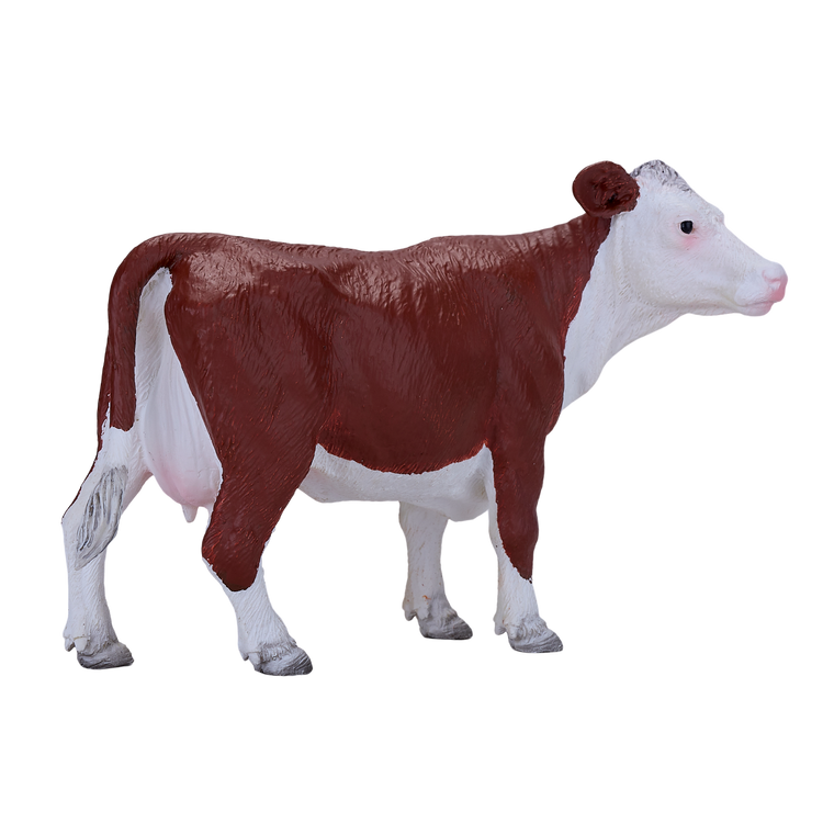 Hereford Cow