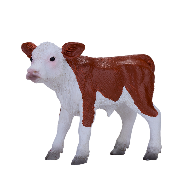 Hereford Calf