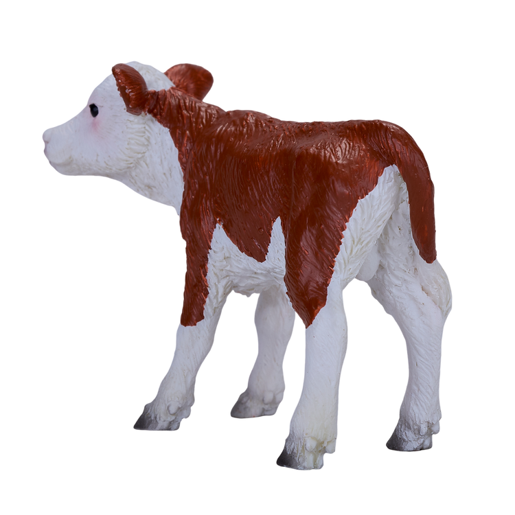 Hereford Calf