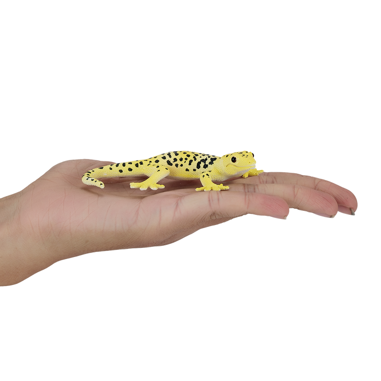 Leopard Gecko