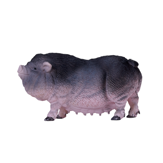 Pot Bellied Pig