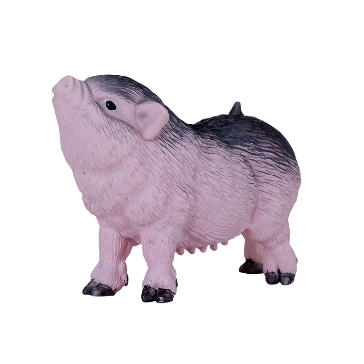 Pot Bellied Piglet