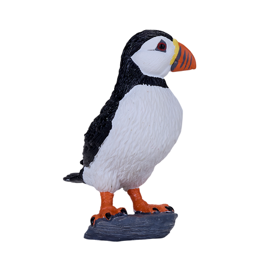 Atlantic Puffin