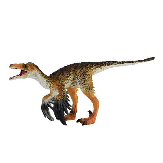 Troodon with Articulated Jaw