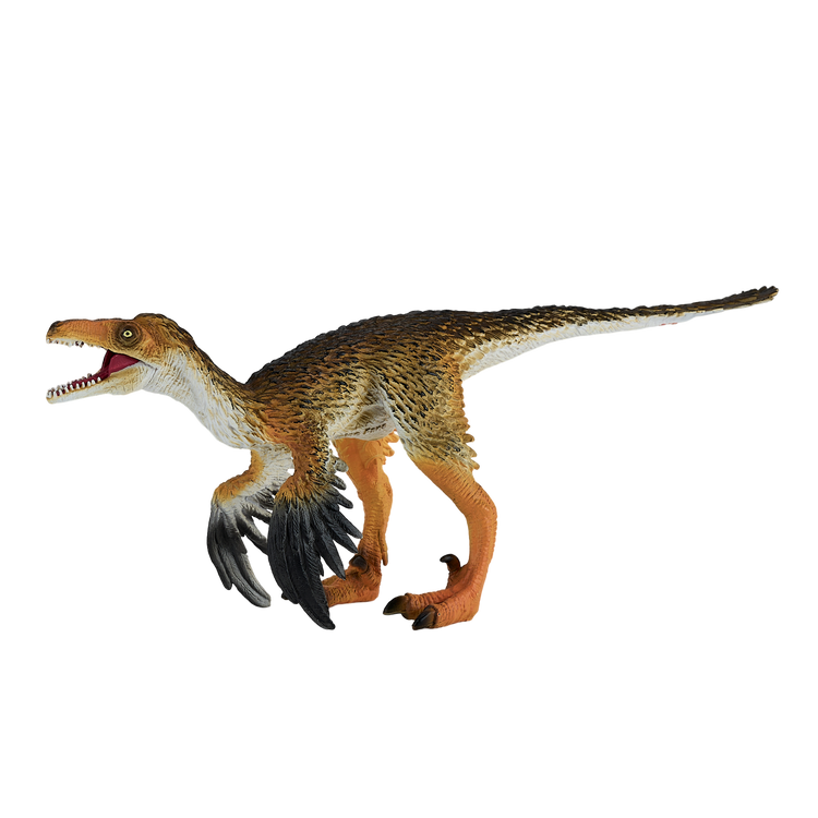 Troodon with Articulated Jaw