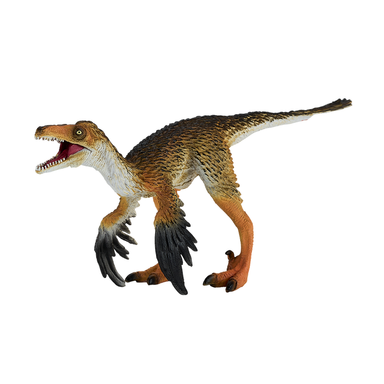 Troodon with Articulated Jaw