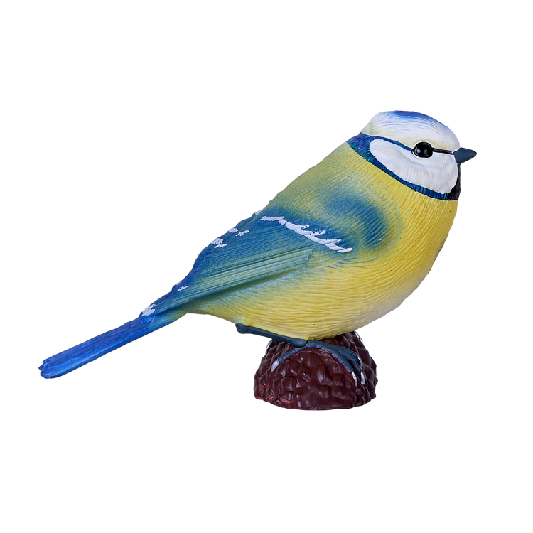 Blue Tit