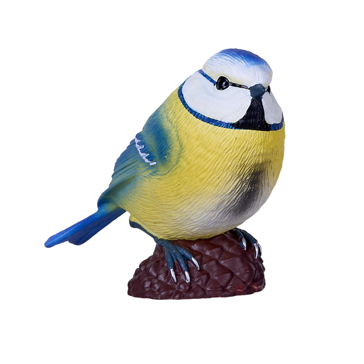 Blue Tit