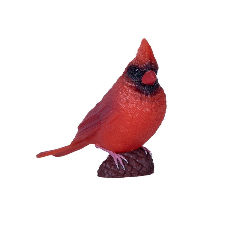 Red Cardinal