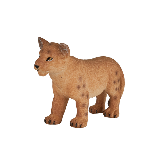 Lion Cub Standing