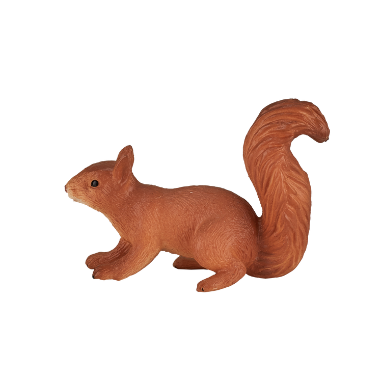 Squirrel running