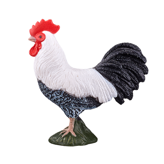 Cockerel