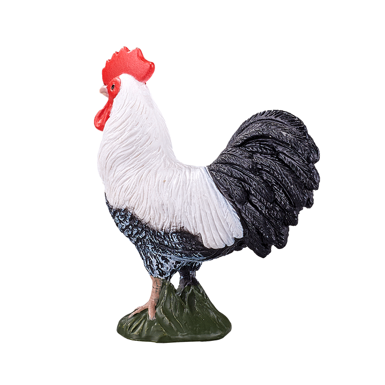 Cockerel