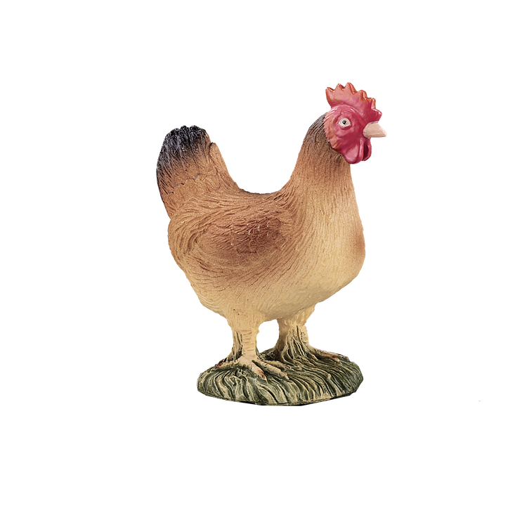 Hen Standing