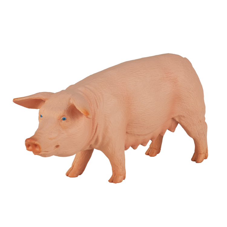 Pig (Sow)