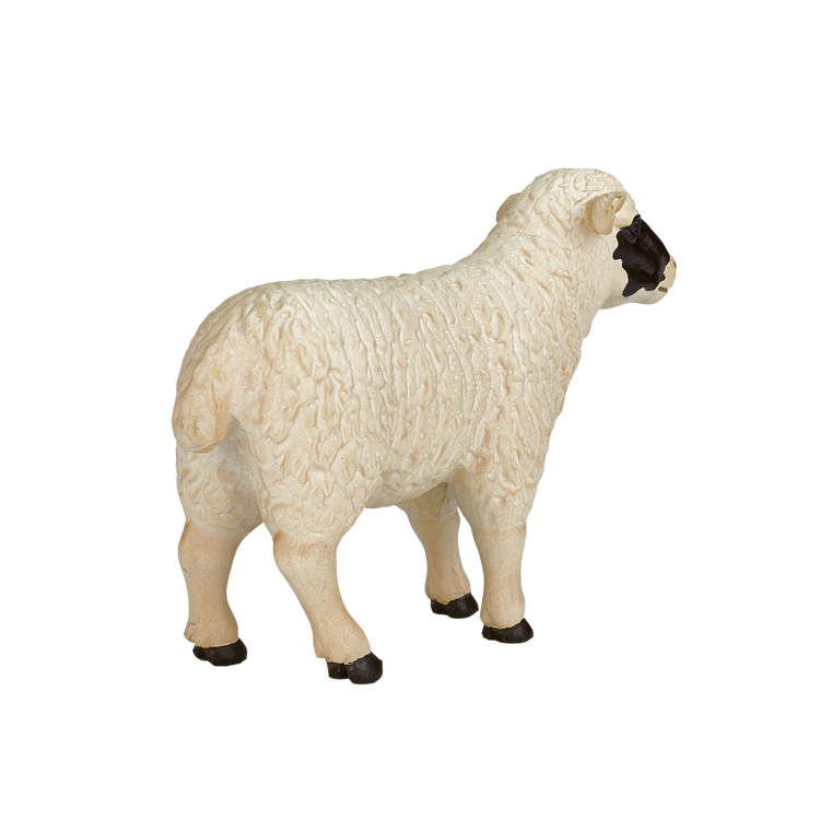 Black faced Sheep (Ewe)