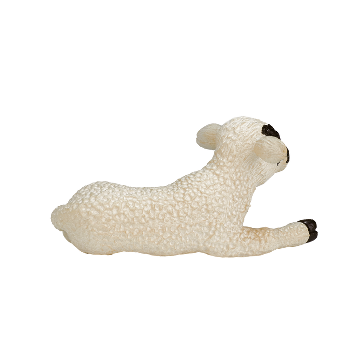 Black Faced Lamb Laying down