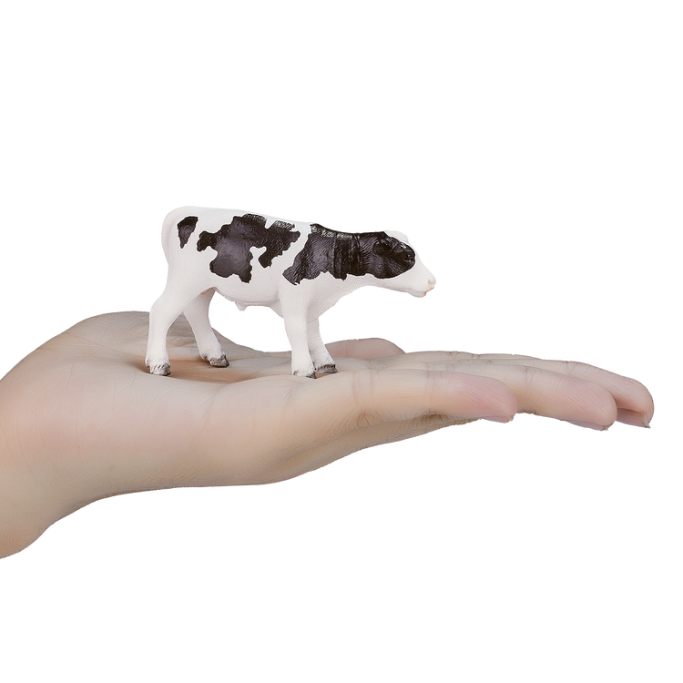 Holstein Calf standing