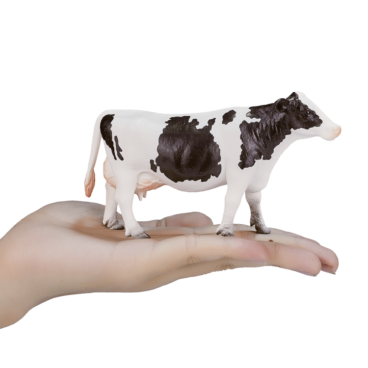 Holstein Cow