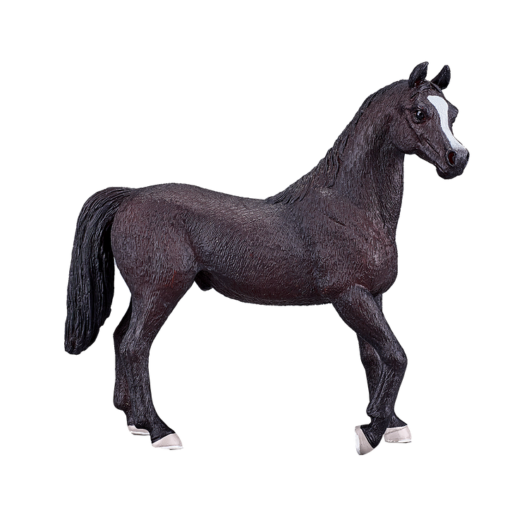 Arabian Stallion Black