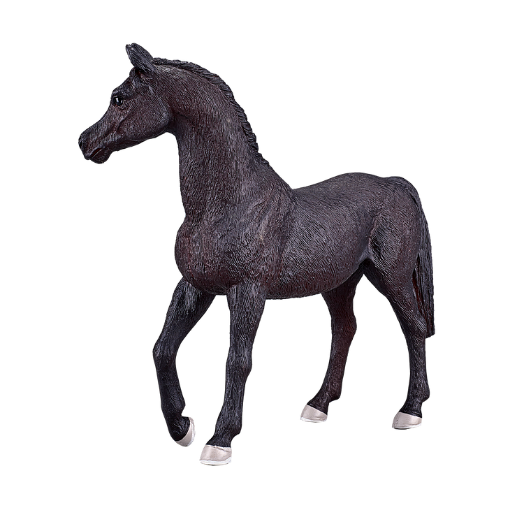 Arabian Stallion Black